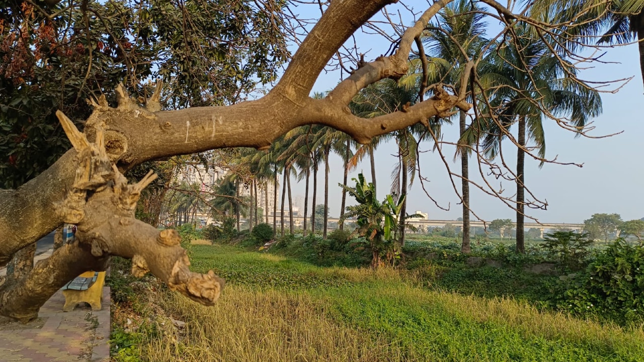 আবহাওয়া