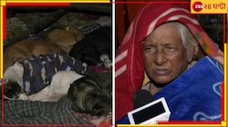 কনকনে শীতের রাতে ছাদ হারিয়ে রাস্তায় বৃদ্ধা! দুষলেন প্রশাসনকেই