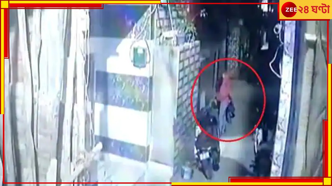 Delhi Kanjhawala case: গাড়ির চাকা পিষে দিচ্ছে অঞ্জলিকে! নিজের চোখে দেখেই বাড়ি ফেরেন নিধি