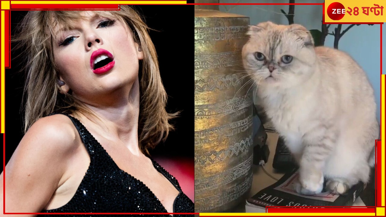 Taylor Swift&#039;s Cat: বিশ্বের অন্যতম ধনী পোষ্য অলিভিয়া! বিড়ালের সম্পত্তির পরিমাণ জানলে ভিরমি খাবেন