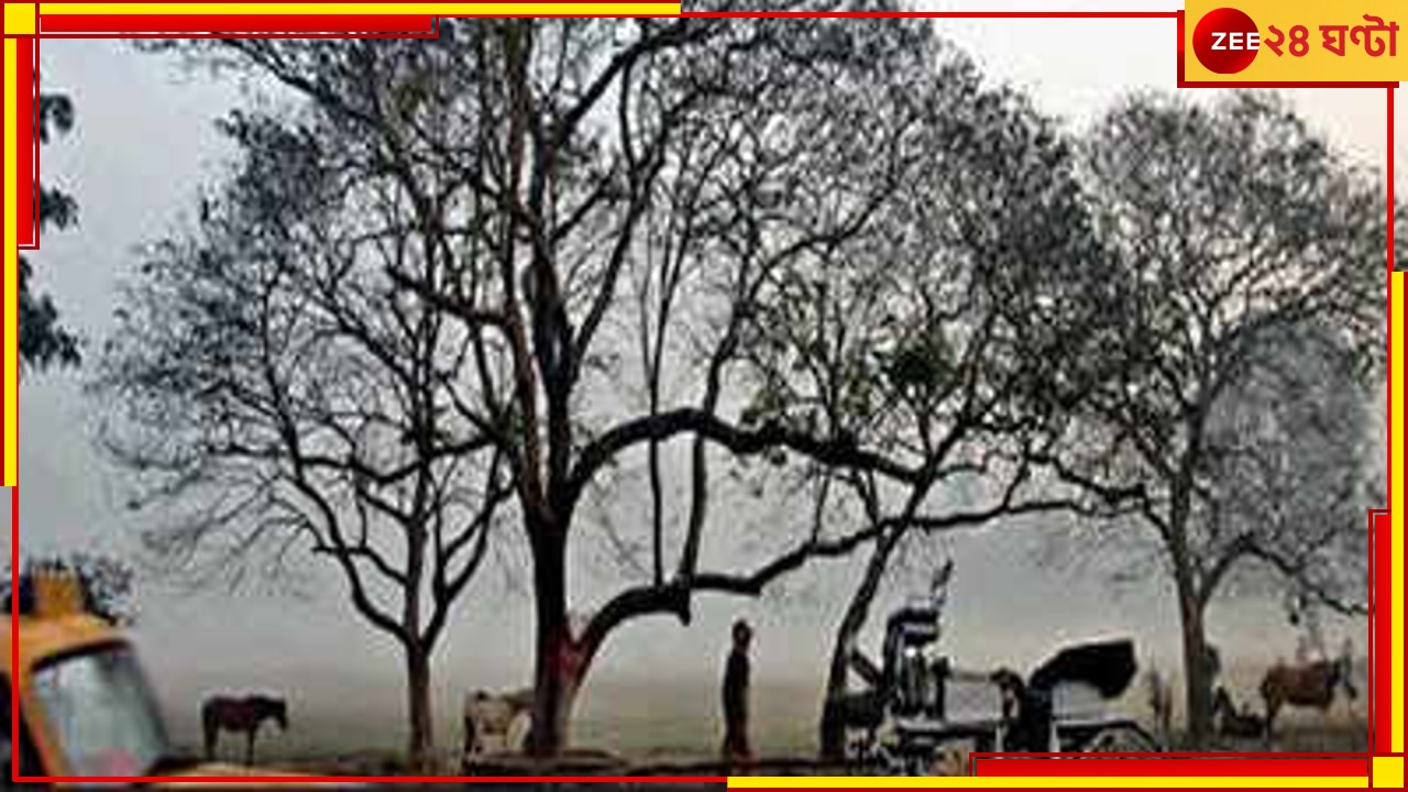 Bengal Weather Today: ঠান্ডায় কাঁপছে মহানগর, রাজ্যজুড়ে শীতের আমেজ