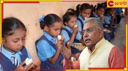 'কেন্দ্রের টাকায় রাজ্যের নেতাদের বাড়ি-গাড়ি-গয়না, জেলে ঢোকানো উচিত', মন্তব্য দিলীপের