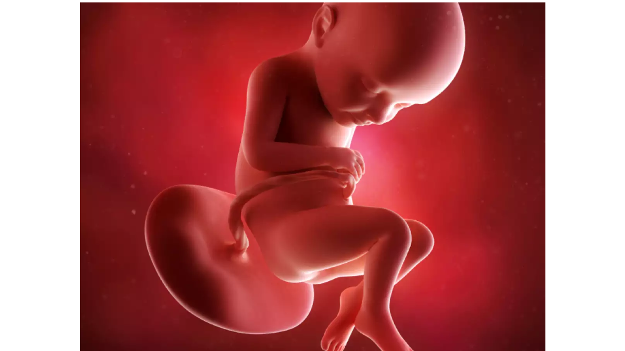 32 Weeks Pregnancy Abortion