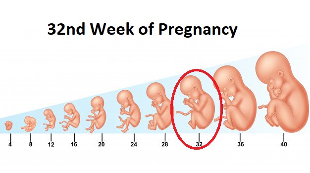 32 Weeks Pregnancy Abortion