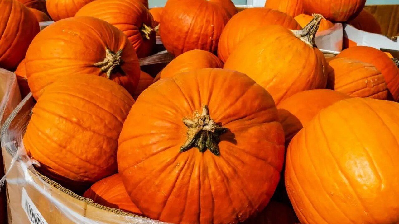 Pumpkin health benefits