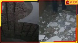 পাঠান চলাকালীন ভেঙে পড়ল সিনেমা হলের ছাদ! আহত ৫