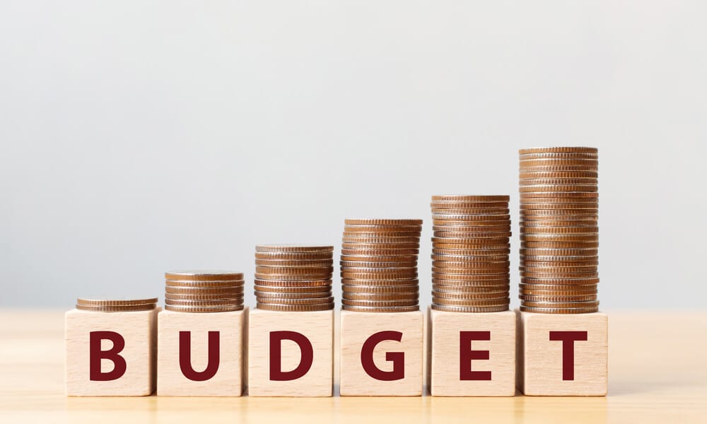 India's First Budget