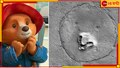 MRO Shows Image Of Teddy Bear: মঙ্গলগ্রহে আস্ত এক ভালুক এল কোথা থেকে? কী বলছেন বিজ্ঞানীরা... 