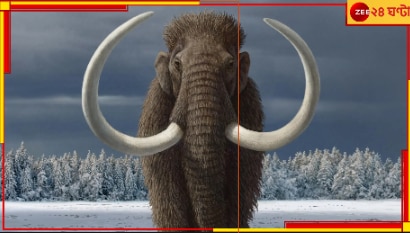Mammoths Back: পাহাড়ের মতো দেখতে দানবাকৃতি ভয়ংকর সেই ম্যামথেরা ফিরছে পৃথিবীতে?