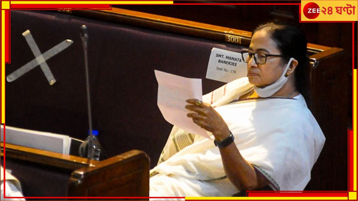 Mamata Banerjee: &#039;রাজ্যের কর্মীরা ব্যাঙ্কক, মালয়েশিয়া যেতে পারেন&#039;, বাজেটে DA বৃদ্ধি নিয়ে মন্তব্য মমতার 