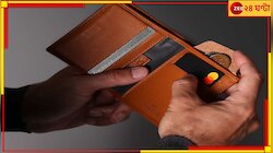 Money Bag: সংসারে অর্থাভাব কমাতে চান? মানিব্যাগে এই জিনিসটি রাখলেই কেল্লাফতে