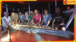পুকুরপাড়ে ছাগল চিবিয়ে খাচ্ছে কুমির; ঘুম ছুটল পাড়ার লোকের...