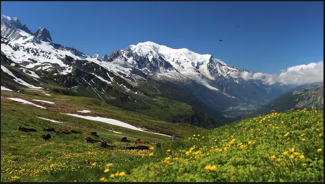 মকর: মন্ট ব্ল্যাঙ্ক