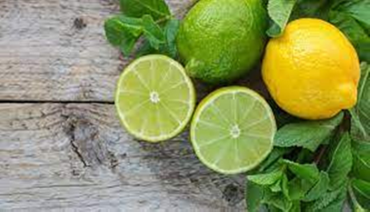  lemon remedies 