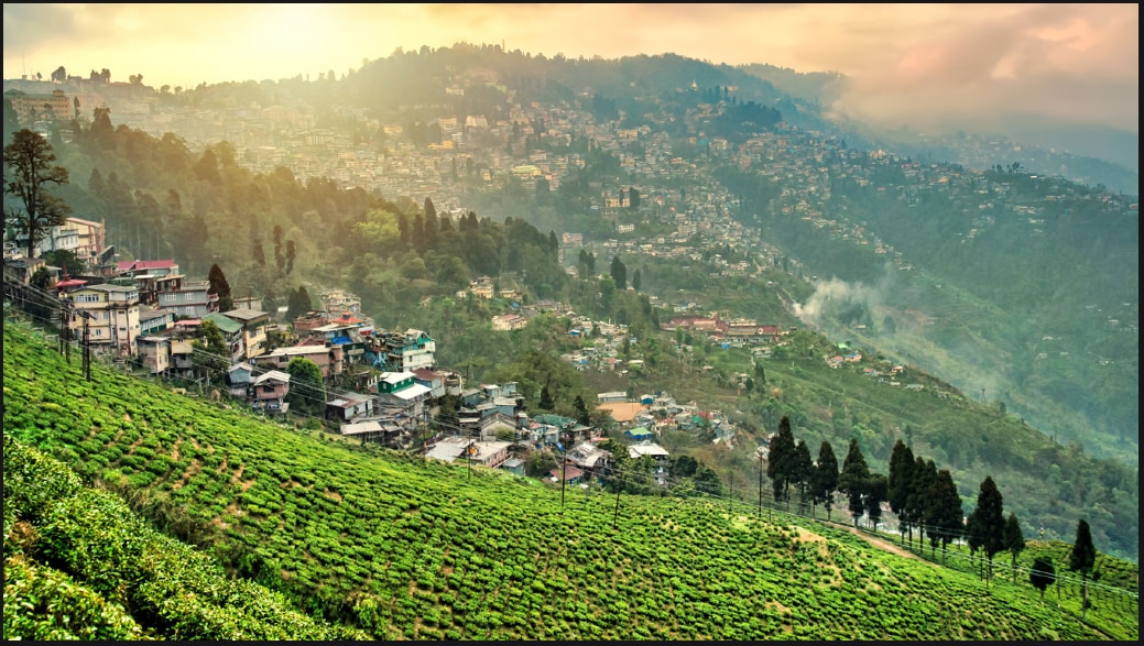 গরমের অনুভূতি গরমের অনুভূতি