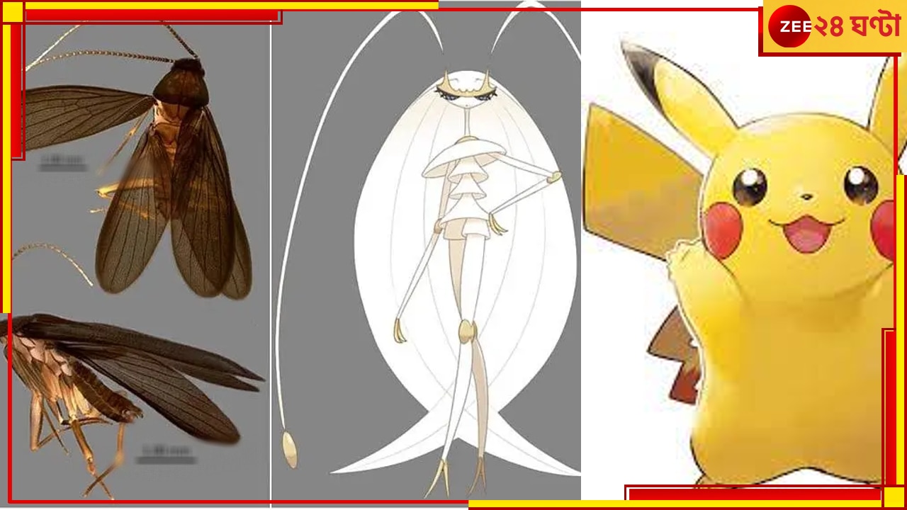 Pokémon&#039;s &#039;Pheromosa&#039;: গল্প হলেও সত্যি?আরশোলার নতুন প্রজাতি যেন কার্টুনের বিখ্যাত চরিত্র...