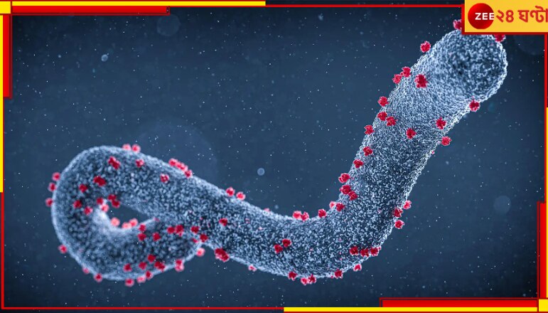 Marburg Virus: ইবোলার মতোই ভয়ংকর কী এই মারবার্গ? আসছে নতুন মারণভাইরাস-বিপদ…