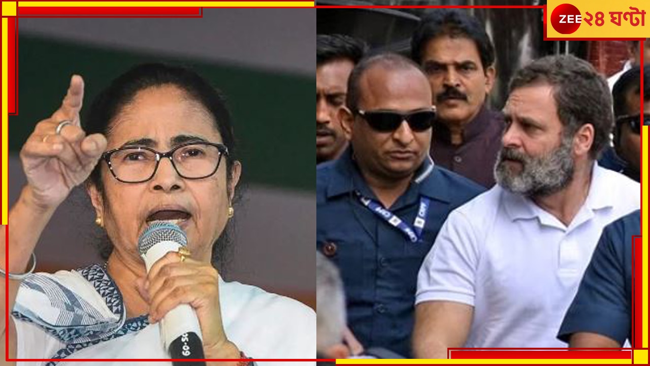 Mamata Banerjee: &#039;রাহুল গান্ধী যদি বিপদে পড়তে পারেন, সরকারি কর্মচারীদের গাল দিয়ে মমতা কেন নন&#039;!