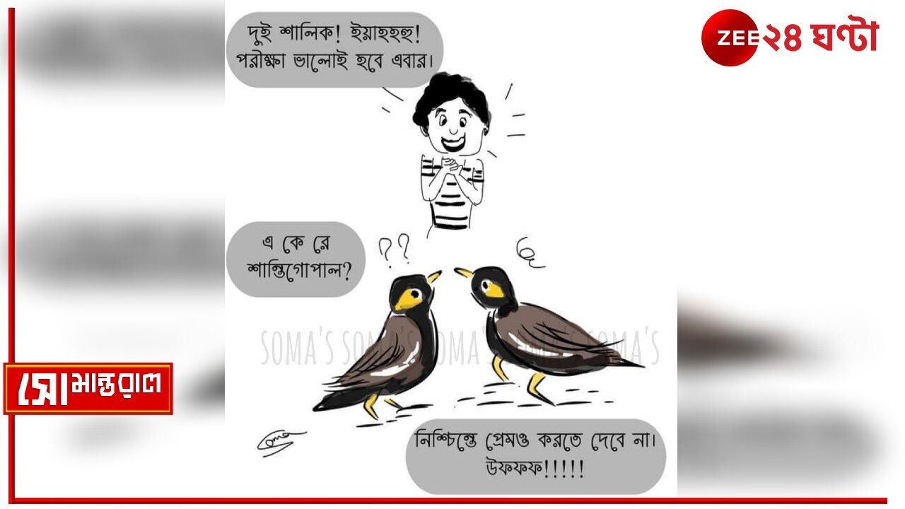 Daily Cartoon| সোমান্তরাল| বড়িতে যতন
