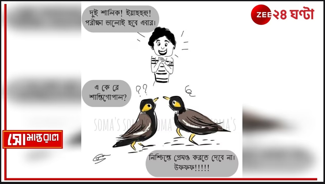 Daily Cartoon| সোমান্তরাল| বড়িতে যতন