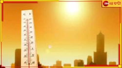 আকাশে আগুন, বাতাস লু! ভয়ংকর এই গরমে কী খাবেন, কখন রাস্তায় বেরোবেন, কী করবেন না...