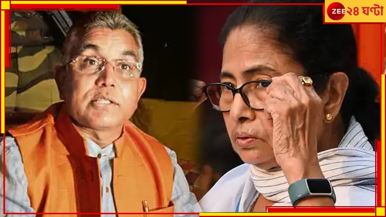 TMC loses National Party status: প্রধানমন্ত্রী হওয়ার স্বপ্ন তো অনেক দূর, এই কাজই এখন করতে হবে মমতাকে, কটাক্ষ দিলীপের 