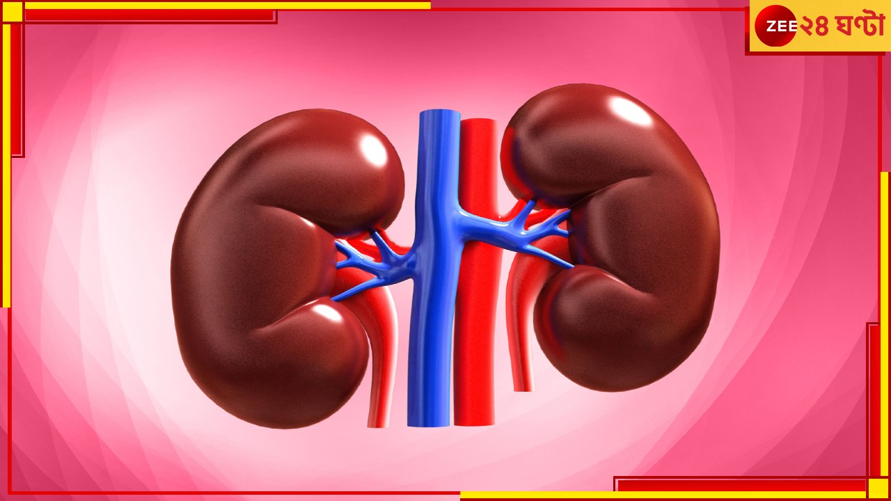 Kidney Ailment: ডায়াবিটিস বাড়ছে কমবয়সীদের মধ্যেও, কীভাবে ঠিক রাখবেন আপনার কিডনি
