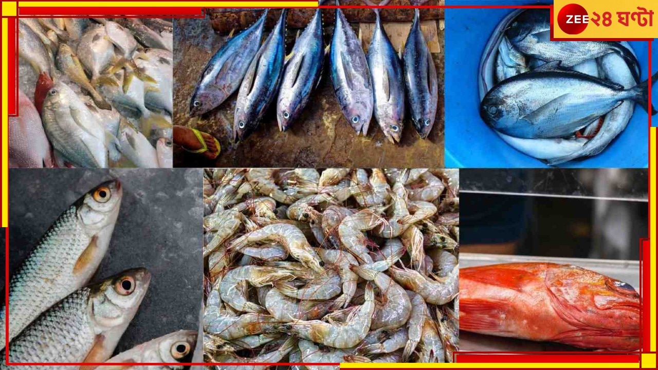 River Fish Vs Sea Fish: মিষ্টি না সমুদ্র, কোন জলের মাছে বেশি পুষ্টি? জেনে নিন