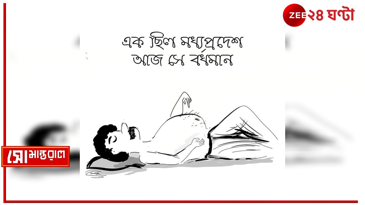 Daily Cartoon | সোমান্তরাল | বাড়ি তার বাংলা! 