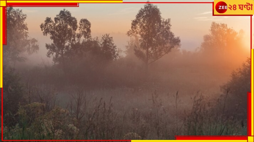Foggy Summer Morning: তীব্র দাবদাহে পুড়ছে বাংলা! তা হলে শীতকালের মতো কুয়াশা কেন ভোরবেলায়?