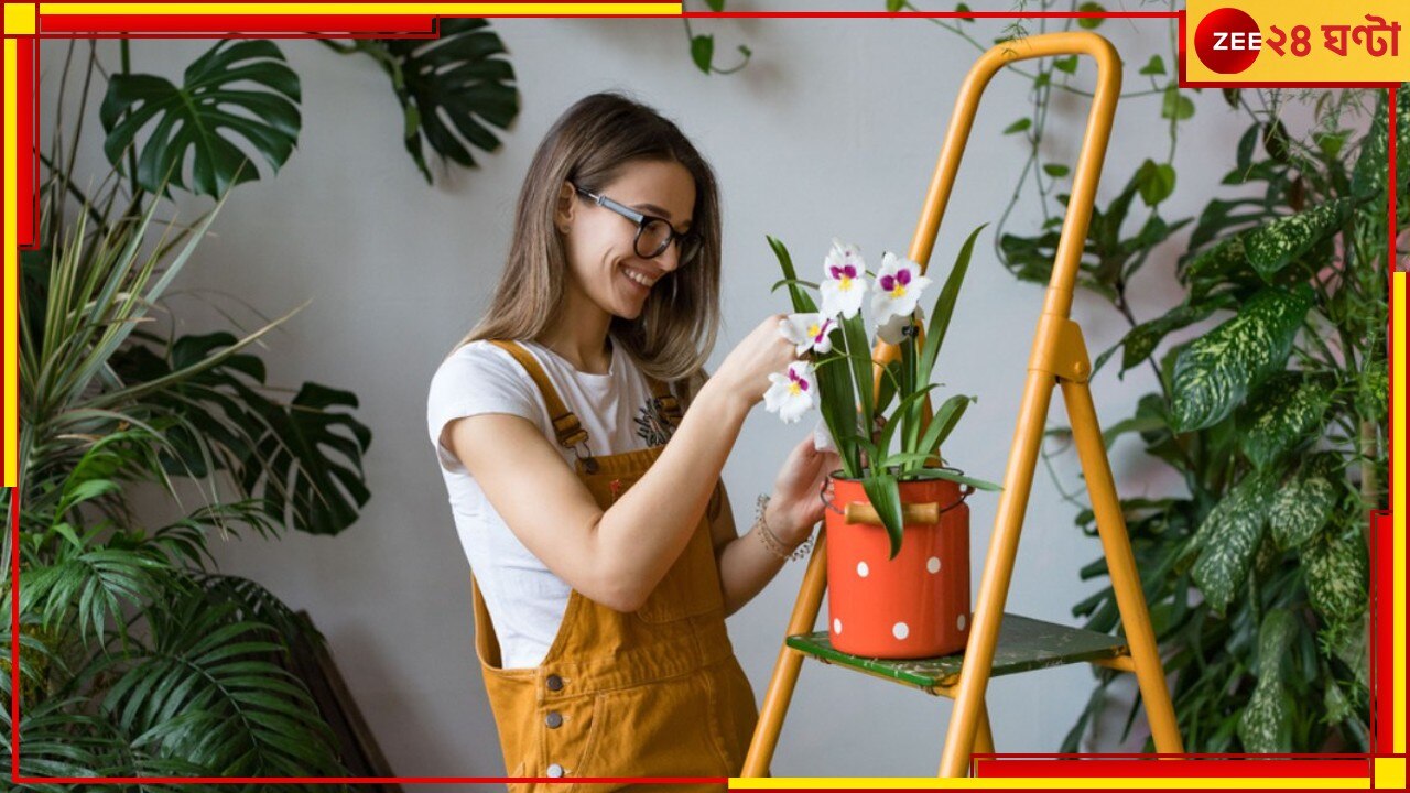 Plants: ঘরের কোণের ছোট্ট একটা গাছ বদলে দিতে পারে আপনার জীবন! কেন?