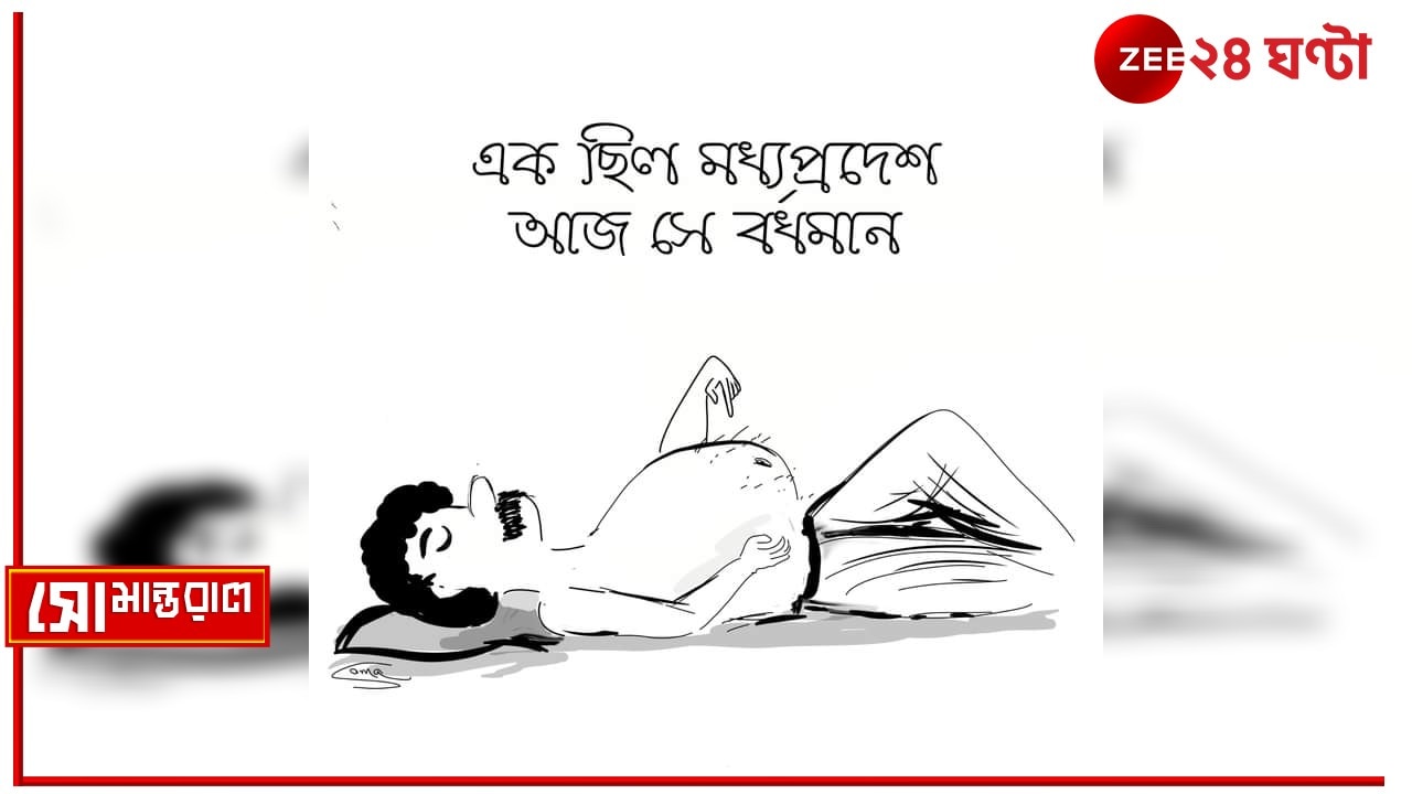 Daily Cartoon | সোমান্তরাল | বাড়ি তার বাংলা!