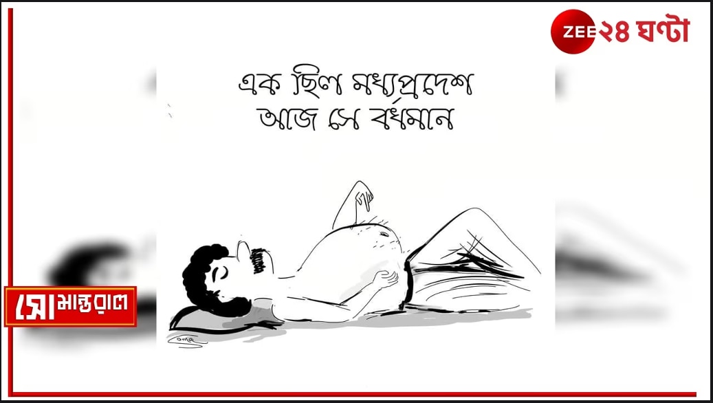 Daily Cartoon | সোমান্তরাল | বাড়ি তার বাংলা!