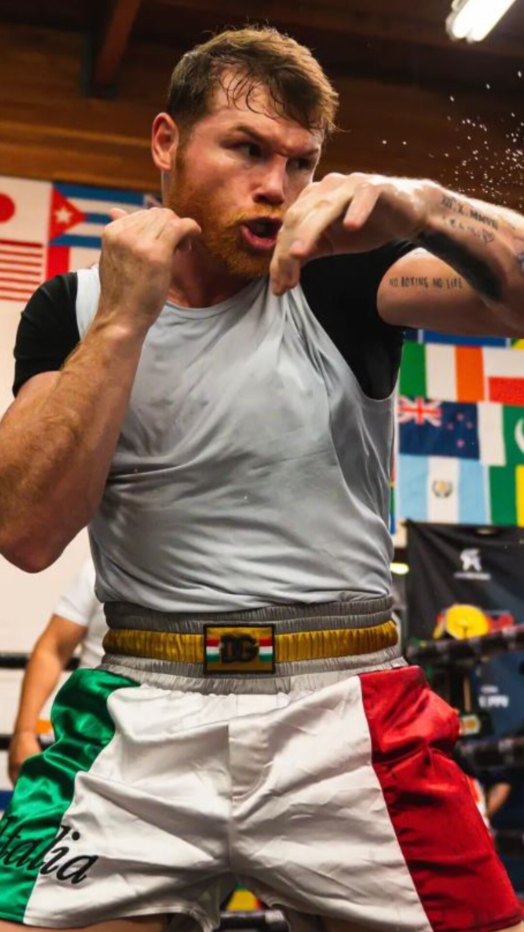 Canelo Alvarez 