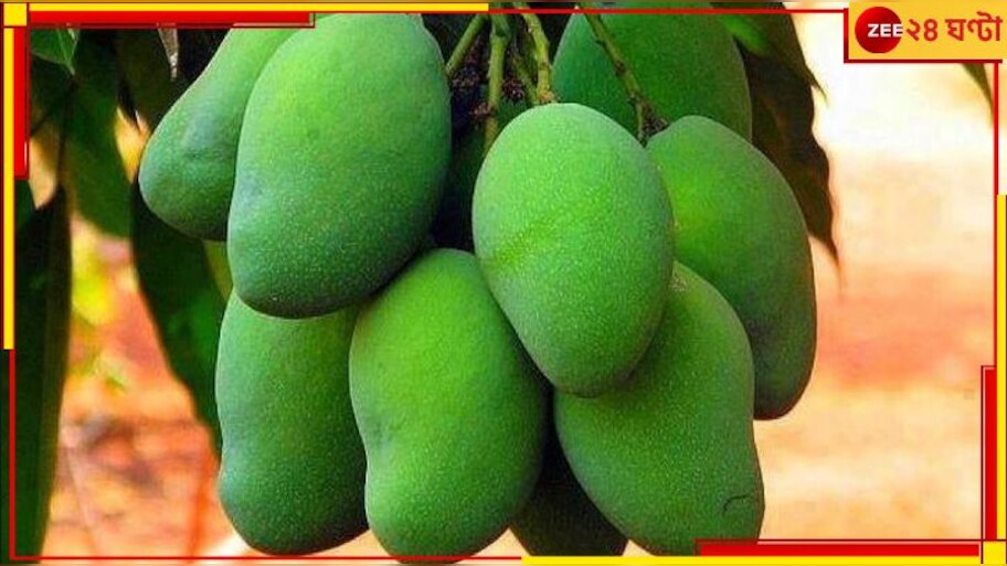 Green Mango: কাঁচা আম কি শুধুই সুস্বাদু? সুস্বাস্থ্যে এর গুণাগুণ জানলে চমকে যাবেন!