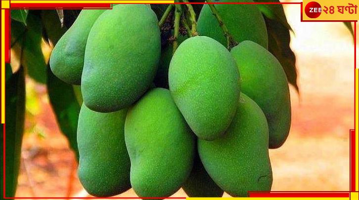 Green Mango: কাঁচা আম কি শুধুই সুস্বাদু? সুস্বাস্থ্যে এর গুণাগুণ জানলে চমকে যাবেন! Green Mango: কাঁচা আম কি শুধুই সুস্বাদু? সুস্বাস্থ্যে এর গুণাগুণ জানলে চমকে যাবেন!