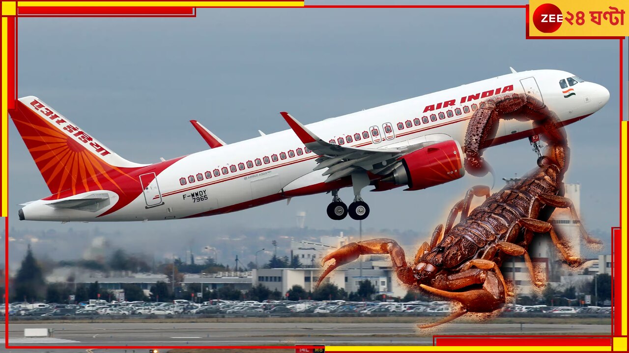 Air India: মাঝ আকাশে মহিলা যাত্রীকে কামড়ে দিল কাঁকড়া বিছে, তোলপাড় বিমান 