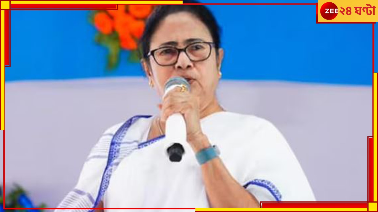 Mamata Banerjee: &#039;না জেনে বিদ্যাসাগরের মূর্তিও ভেঙে ফেলা যায়&#039;, বিজেপিকে নিশানা মুখ্য়মন্ত্রীর