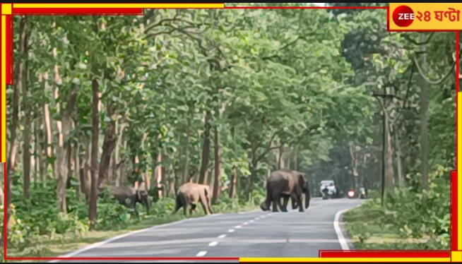 Malbazar: বন দফতরের উপর ক্ষোভ উগরে দিলেন হাতির উপদ্রবে উত্ত্যক্ত গ্রামবাসী...