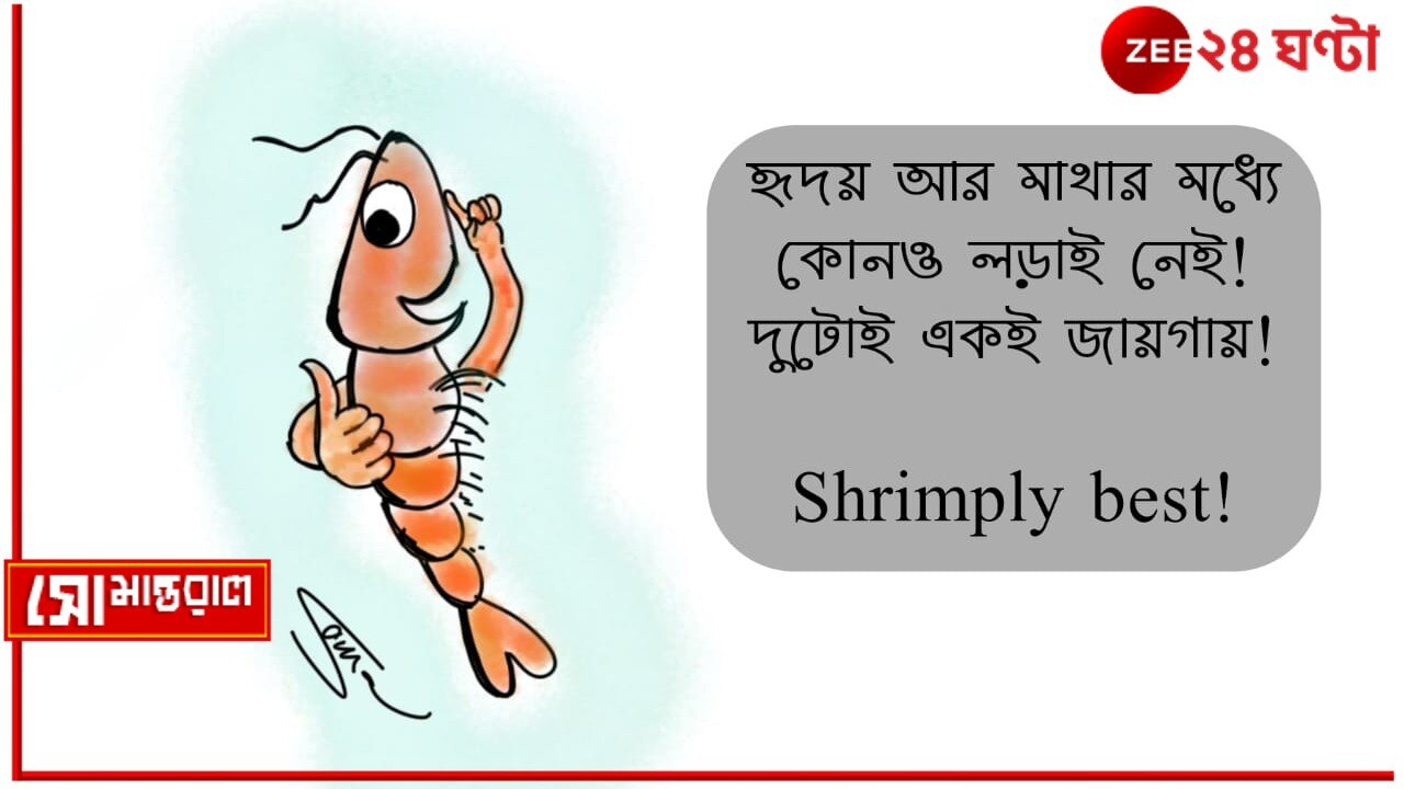 Daily Cartoon | সোমান্তরাল | উহ-চিংড়ি!