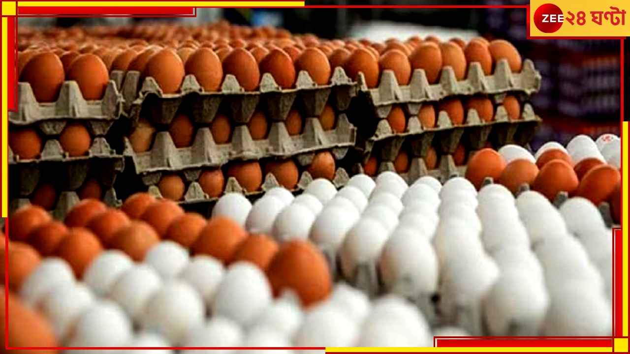 Egg Price Hike চড়চড়িয়ে বাড়ল দাম, মধ্যবিত্তের নাগালের বাইরে ডিম