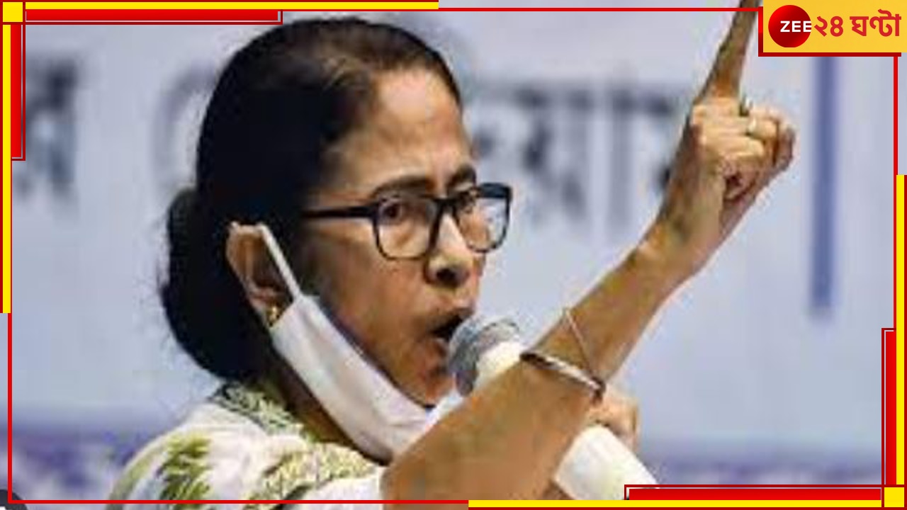 Mamata Banerjee: কলকাতায় ফিরছেন অভিষেক, তৃণমূলের নবজোয়ারে এবার স্বয়ং মমতা....