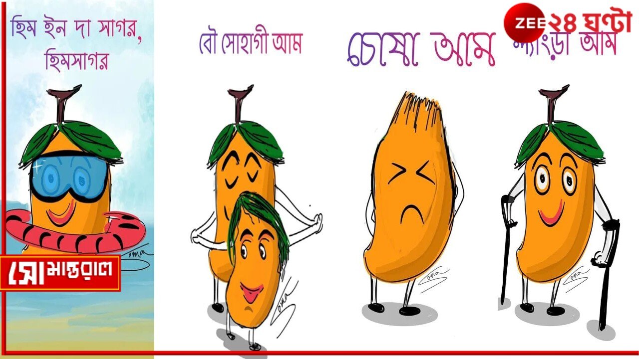 Daily Cartoon | সোমান্তরাল | আম-দরবার