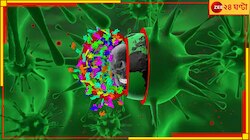 আর X=Prem নয়, এখন X=Disease! আসতে পারে নতুন ভয়ংকর এক রোগ...