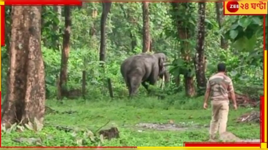 Malbazar: বনবস্তিতে ঢুকে পড়ল বুনো হাতি! প্রায় মৃত্যুর মুখ থেকে ফিরলেন এক স্থানীয়...