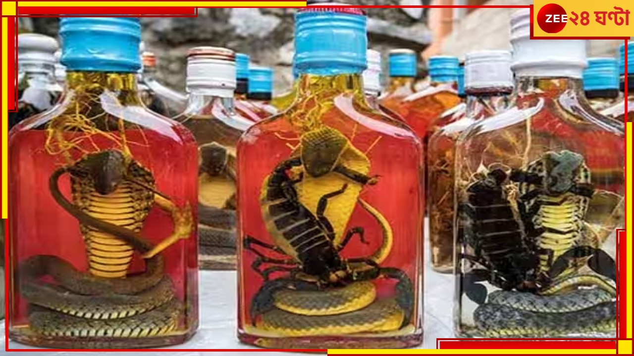 Snake Wine: একাধিক দেশে অত্যন্ত জনপ্রিয় 'স্নেক ওয়াইন', এটি খাওয়া কি স্বাস্থ্যকর? Snake Wine: একাধিক দেশে অত্যন্ত জনপ্রিয় 'স্নেক ওয়াইন', এটি খাওয়া কি স্বাস্থ্যকর?