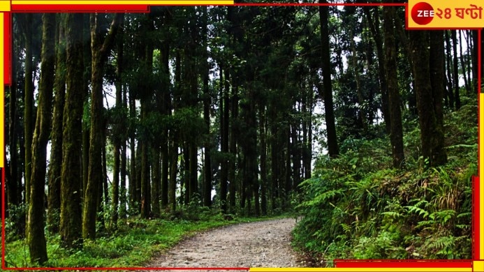 Malbazar: বন্যপ্রাণী শিকার এবং জঙ্গলের কাঠ পাচার রুখতে নতুন করে পরিকল্পনা করছে বন দফতর...