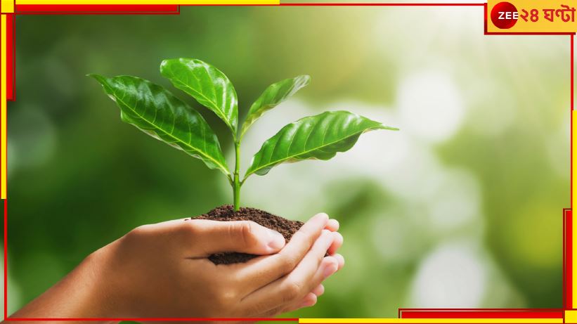 World Environment Day: আগাগোড়া 'গ্রিন' থাকতে চান? এই ছ'টি উপায় মেনে চললেই হাতে-হাতে ফল... World Environment Day: আগাগোড়া 'গ্রিন' থাকতে চান? এই ছ'টি উপায় মেনে চললেই হাতে-হাতে ফল...