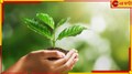 World Environment Day: আগাগোড়া 'গ্রিন' থাকতে চান? এই ছ'টি উপায় মেনে চললেই হাতে-হাতে ফল...