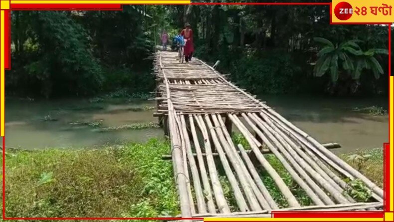 Jalpaiguri: নদী পেরোতে হচ্ছে হেঁটে! সেতু হয়নি, তলিয়েছে সাঁকো; দীর্ঘ কুড়ি বছর এক ছবি...